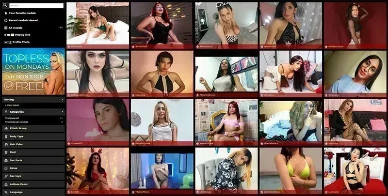 XLoveTrans Review 2025