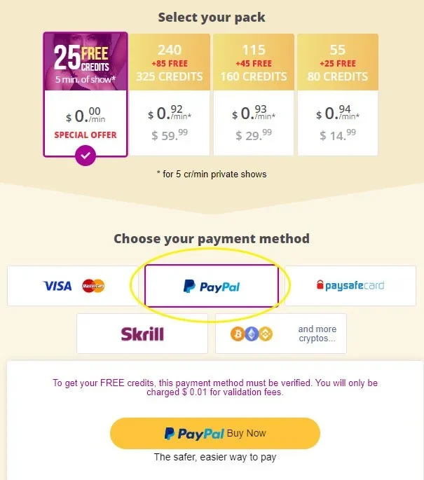 Cam Sites That Accept PayPal XCams