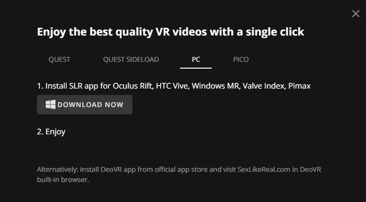VR Chat Rooms SexLikeReal